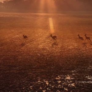 124283361_2668768070101986_5329926705844670174_o