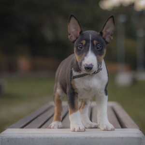 241093058_2881719368806854_5195634045346018573_n