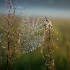 571122790_1492752082398610_4499314427330945415_n