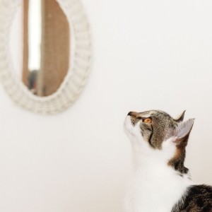 588071303_4058986191080160_3285284983488225531_n