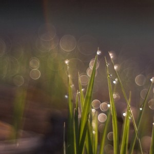 570599373_1492752345731917_3649392953986342143_n