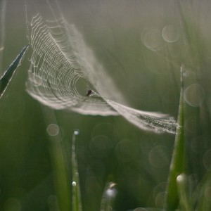 571143051_1492752475731904_8044319411846864636_n