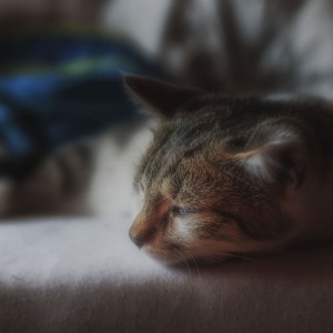 588243908_4058985661080213_2993841072636518762_n