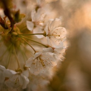 571116082_1492752209065264_249652917496747125_n