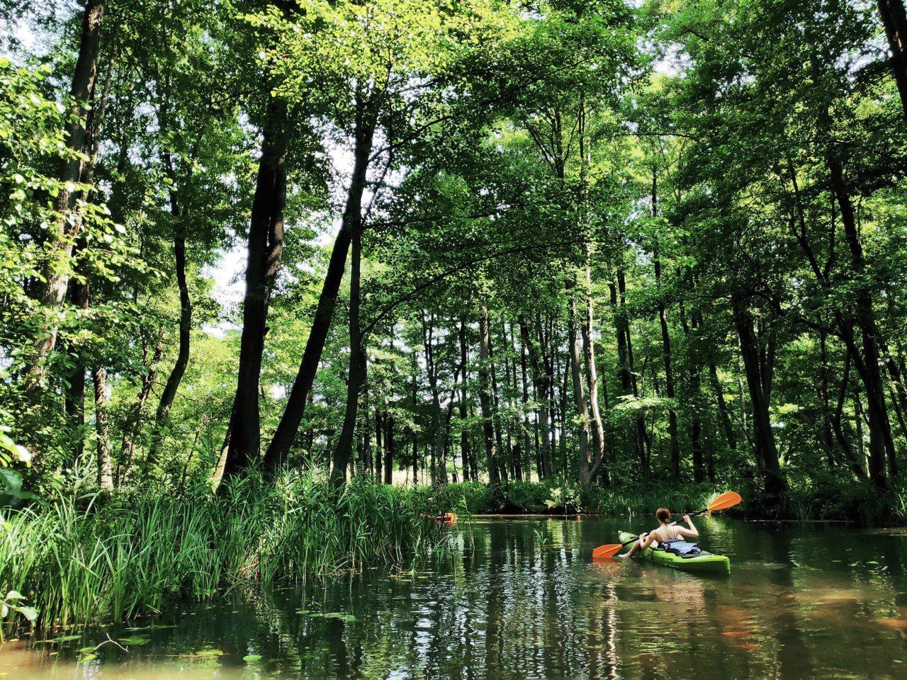 inbound8015741478003405840