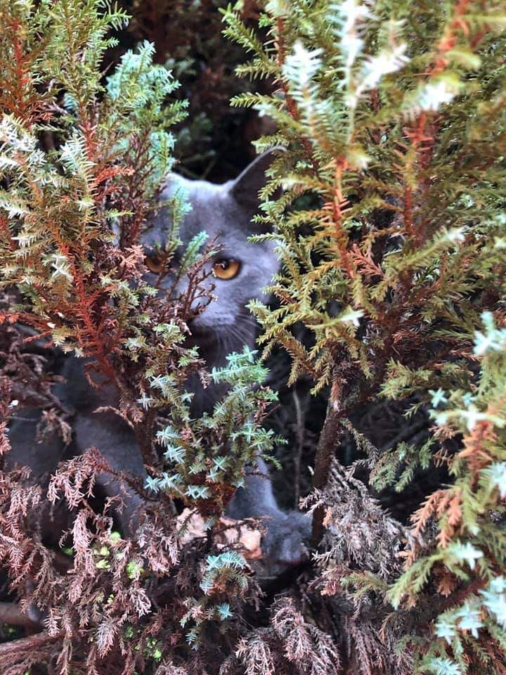 inbound73208440534258102