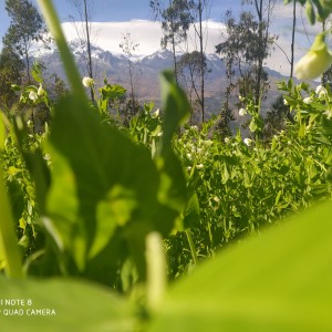 inbound7036477203968044710