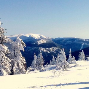 Krkonoše-horská scenérie