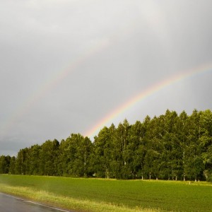 DSC_8799-2-2