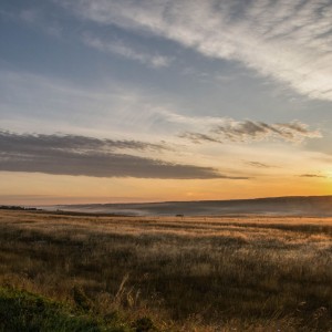 DSC_10181