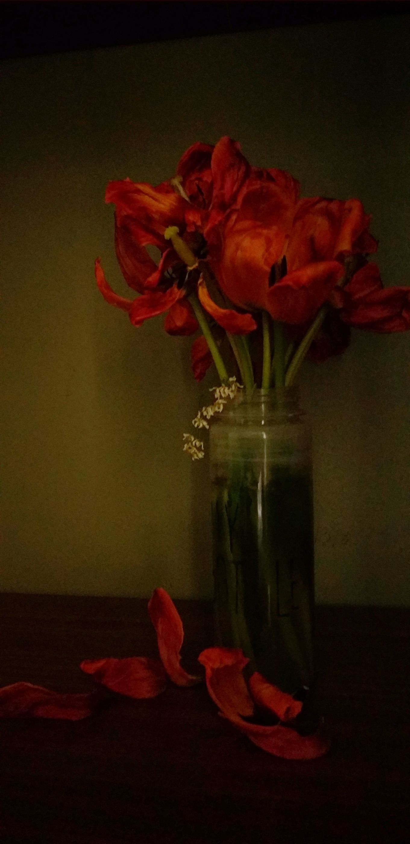 20210511_080855_edited