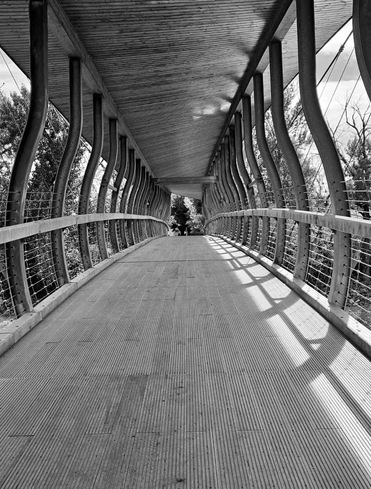 IMG-2b858f5ae98501ba37cfd771b8f8831f-V