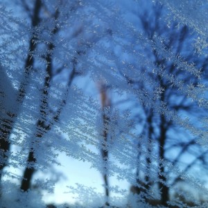 IMG_20210304_084057