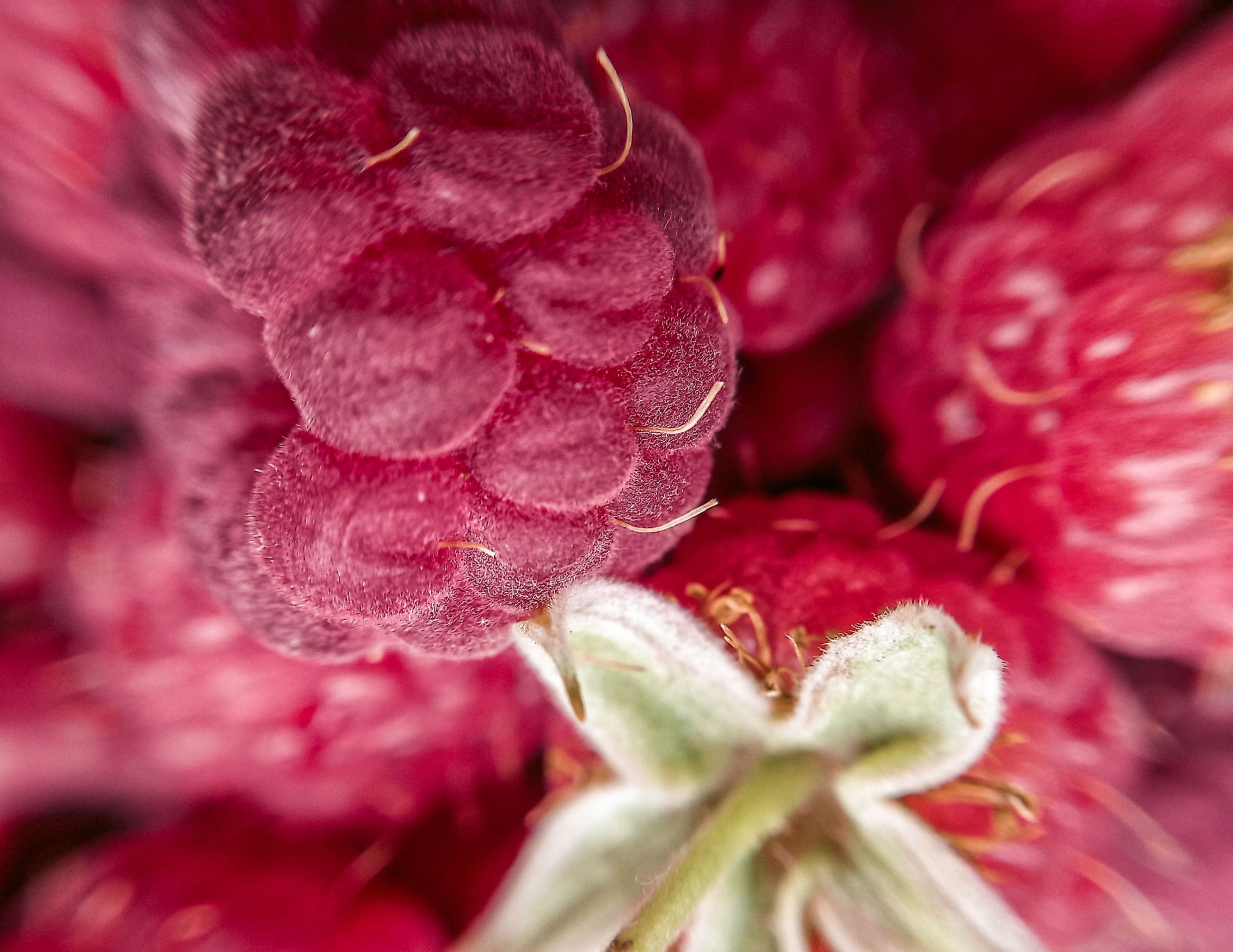 IMG_20200706_121818-01