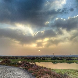 inbound1807161628585318254