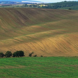 Moravské Toskánsko 2