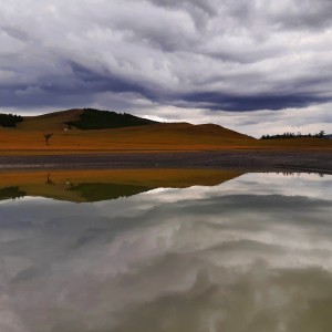 Reflexos al capvespre.