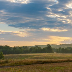 DSC_3488