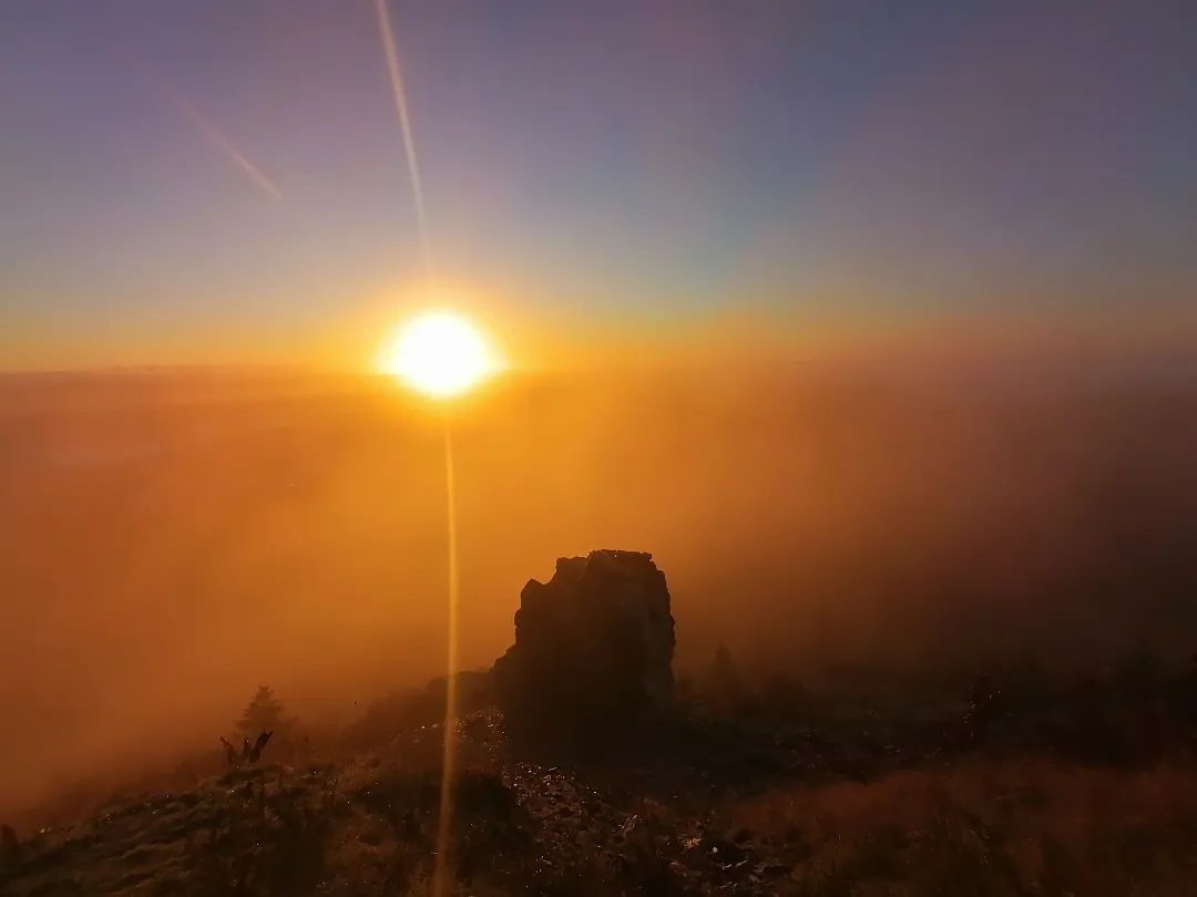 IMG_20221009_122615_853