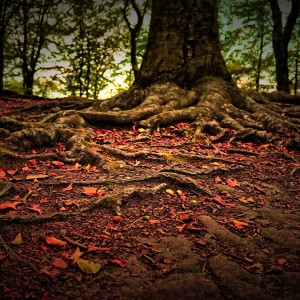 IMG_0776_easyHDR