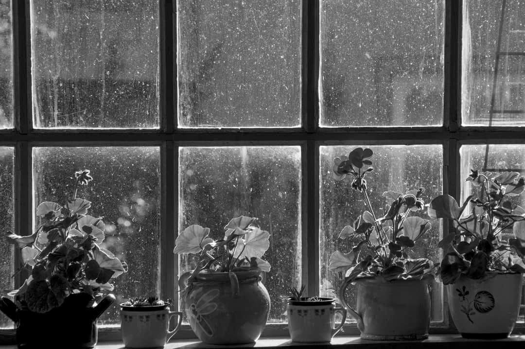 FB_IMG_1595820472916