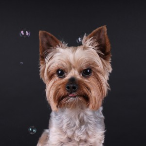 C56B9353-775D-4D04-A43A-E50661635C6F