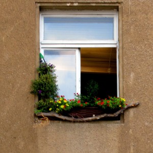 Stadtgrün