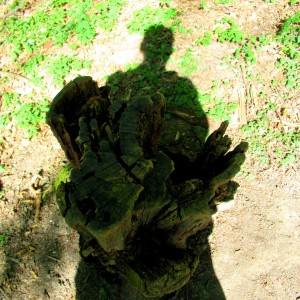ISelbstportrait