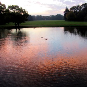 HerbstmorgenIMG_5441