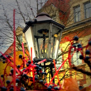 HerbstIMG_4645