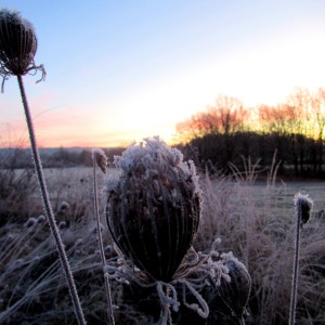 Und noch eins mit dem Titel ,,Wintermorgen"