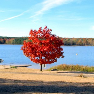 Herbst