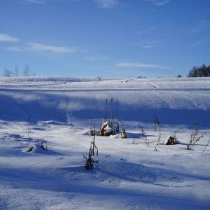 DSC02008