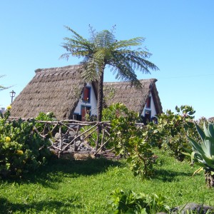 P1090030