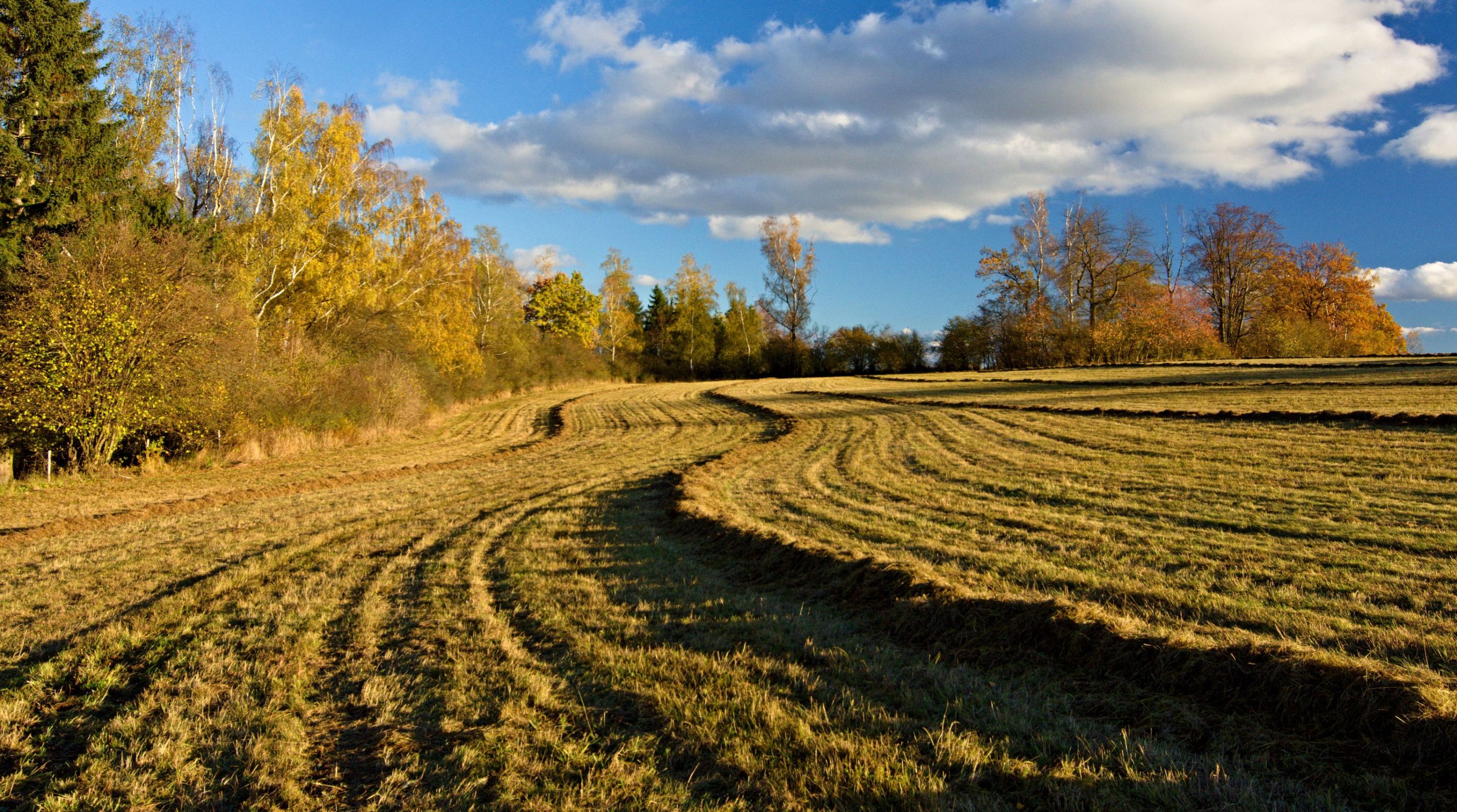 Vysočina.