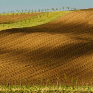 Šardické biopásy.