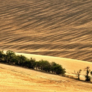 Na vlnách Moravského Toskánska.