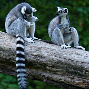 Tělesná prohlídka.