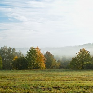 Mlhavé ráno.