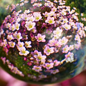 Jaro z křišťálové koule.