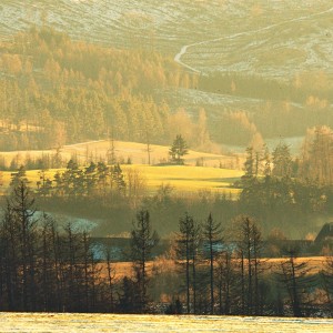 Vysočina.