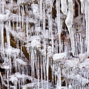 Rampouchová.