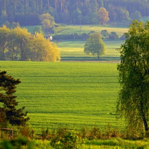 Jarní.