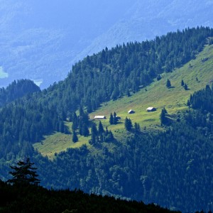 Salaše.