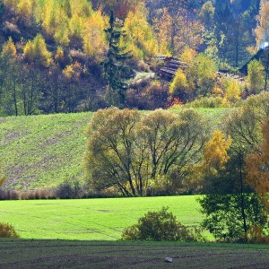 Podzimní.