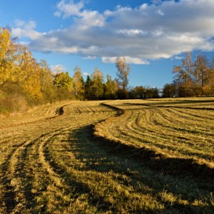 Vysočina.