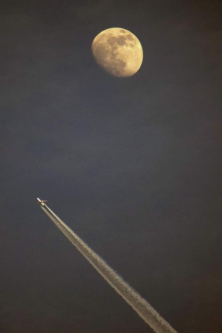 FB_IMG_1559849210250