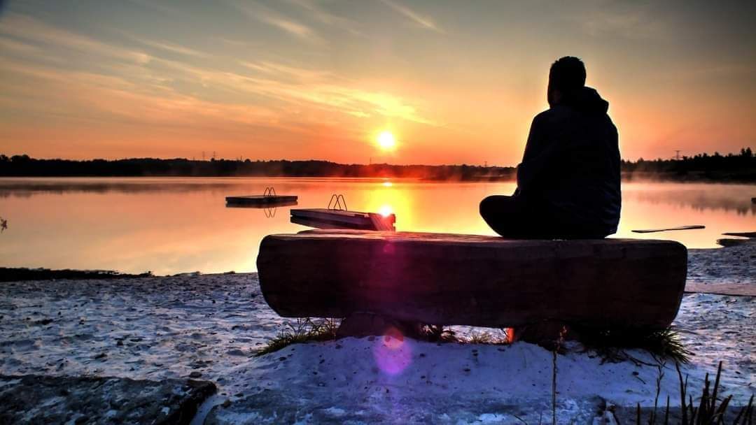 FB_IMG_1668306400333