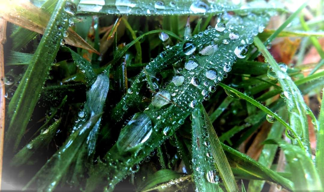 FB_IMG_1668273663653