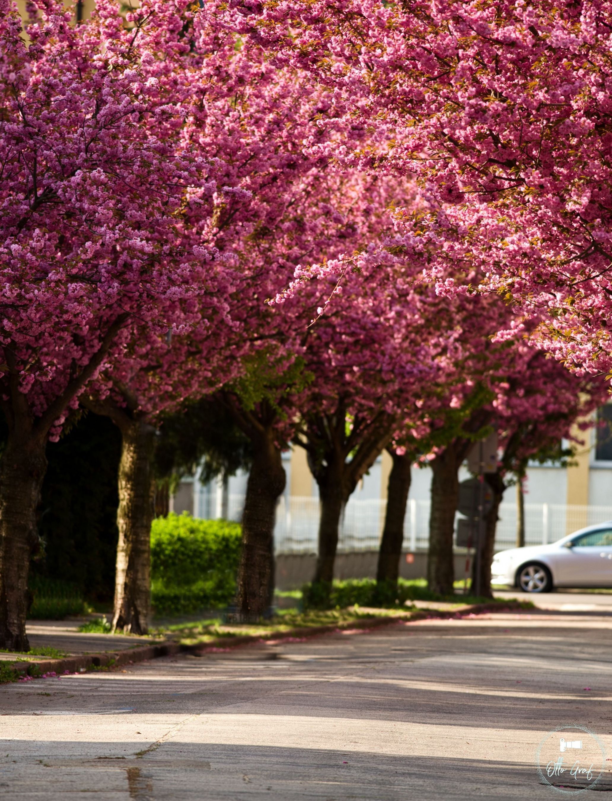 Spring time in Slovakia